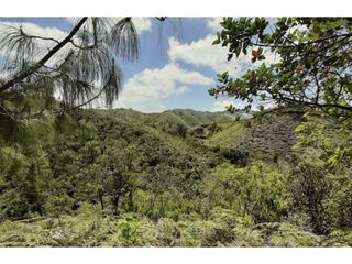 Foto 3 de Lote en venta en Guarne Vereda El Cano