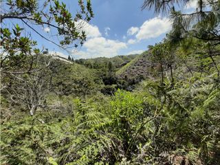 Foto 17 de Lote en venta en Guarne Vereda El Cano