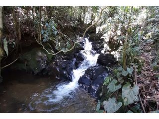 Foto 1 de Lote en venta en Guarne Vereda El Cano