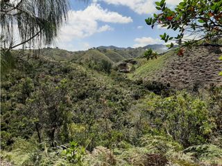 Foto 10 de Lote en venta en Guarne Vereda El Cano