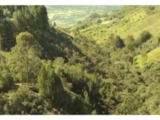 Foto 6 de Lote en venta en Guarne Vereda El Cano