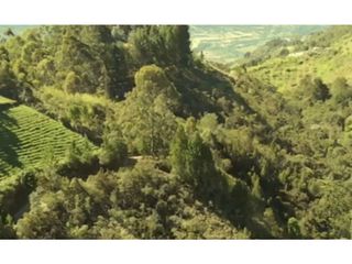 Foto 16 de Lote en venta en Guarne Vereda El Cano