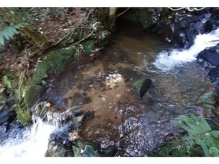 Foto 2 de Lote en venta en Guarne Vereda El Cano