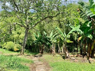 Foto 21 de Finca en venta en El Quindío sector Vereda Calle Larga