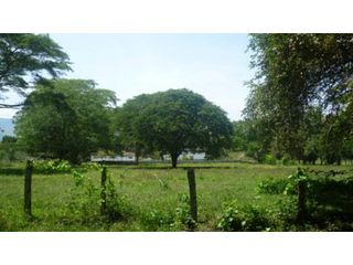 Foto 3 de Lote en venta en Melgar Vía Carmen de Apicalá