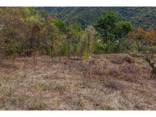 Foto 5 de Lote en venta en Santa Fe de Antioquia, Antioquia.