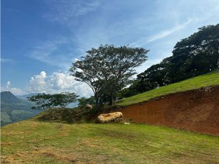 Foto 2 de Lote en el Sector de Bolombolo
