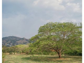 Foto 1 de Lote en el Sector de Bolombolo