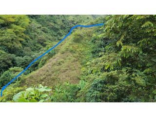 Foto 15 de SE VENDE FINCA EN PIJAO, QUINDIO, COLOMBIA