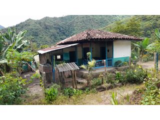 Foto 6 de SE VENDE FINCA EN PIJAO, QUINDIO, COLOMBIA