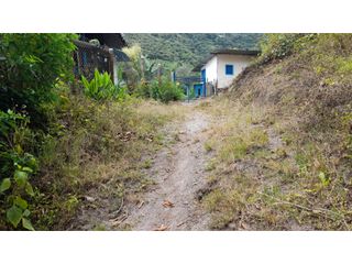 Foto 7 de SE VENDE FINCA EN PIJAO, QUINDIO, COLOMBIA