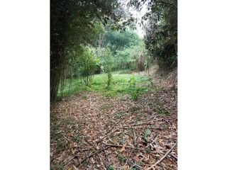 Foto 9 de VENTA CASA LOTE BODEGA, LA TABLAZA