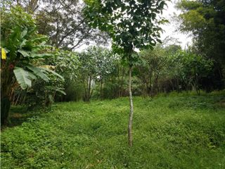 Foto 6 de VENTA CASA LOTE BODEGA, LA TABLAZA