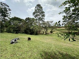 Foto 38 de Venta De Casa Campestre Rionegro Cabeceras