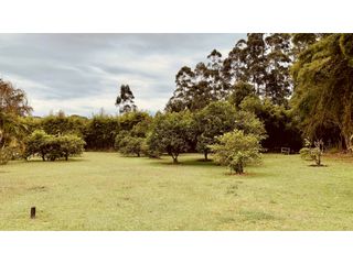 Foto 6 de Finca Independiente USO COMERCIAL UBICACION PREMIUM Llanogrande