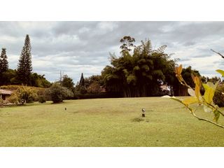 Foto 54 de Finca Independiente USO COMERCIAL UBICACION PREMIUM Llanogrande