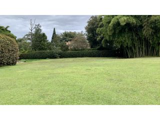 Foto 25 de Finca Independiente USO COMERCIAL UBICACION PREMIUM Llanogrande