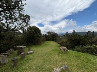 Foto 4 de Venta casa en el verjon Chapinero a puerta cerrada