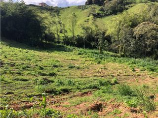 Foto 10 de vendo lote Marinilla, para subdividir. 11.300 m2 CH-GG