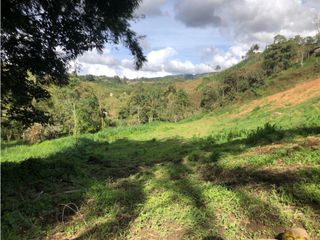 Foto 8 de vendo lote Marinilla, para subdividir. 11.300 m2 CH-GG