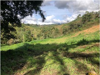 Foto 12 de vendo lote Marinilla, para subdividir. 11.300 m2 CH-GG