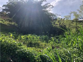 Foto 18 de vendo lote Marinilla, para subdividir. 11.300 m2 CH-GG