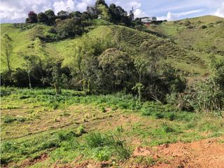 Foto 7 de vendo lote Marinilla, para subdividir. 11.300 m2 CH-GG
