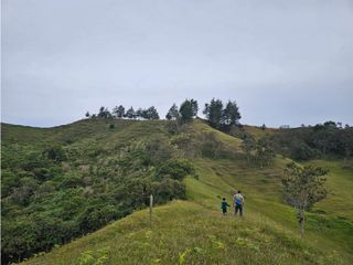 Foto 1 de HERMOSO LOTE EL RETIRO-VDA PANTANILLO-PARCELACIÓN 2.119mt2