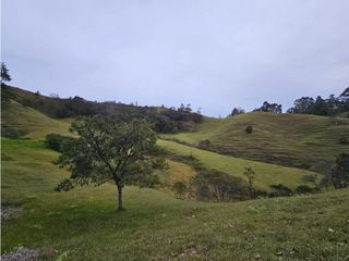 Foto 2 de HERMOSO LOTE EL RETIRO-VDA PANTANILLO-PARCELACIÓN 2.119mt2