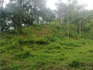 Foto 5 de Venta de Lote  en La Estrella Antioquia - Vereda La Culebra