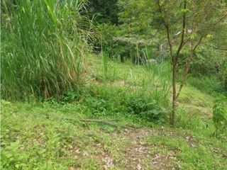 Foto 21 de Venta de Lote  en La Estrella Antioquia - Vereda La Culebra