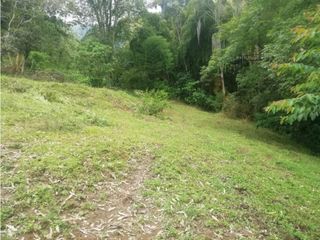 Foto 9 de Venta de Lote  en La Estrella Antioquia - Vereda La Culebra
