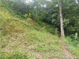 Foto 20 de Venta de Lote  en La Estrella Antioquia - Vereda La Culebra