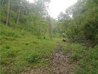 Foto 7 de Venta de Lote  en La Estrella Antioquia - Vereda La Culebra