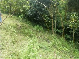 Foto 11 de Venta de Lote  en La Estrella Antioquia - Vereda La Culebra
