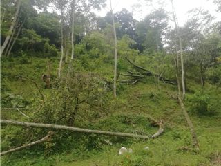 Foto 6 de Venta de Lote  en La Estrella Antioquia - Vereda La Culebra