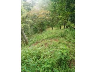 Foto 14 de Venta de Lote  en La Estrella Antioquia - Vereda La Culebra