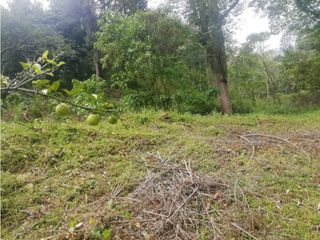Foto 12 de Venta de Lote  en La Estrella Antioquia - Vereda La Culebra