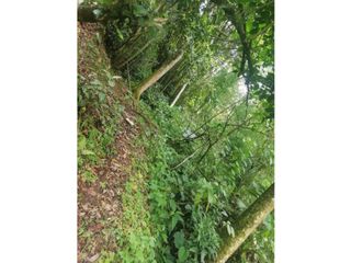 Foto 13 de Venta de Lote  en La Estrella Antioquia - Vereda La Culebra