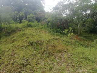 Foto 10 de Venta de Lote  en La Estrella Antioquia - Vereda La Culebra