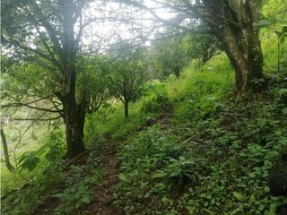 Foto 3 de Venta de Lote  en La Estrella Antioquia - Vereda La Culebra