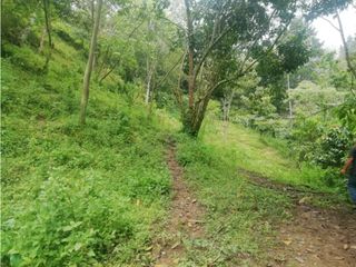 Foto 16 de Venta de Lote  en La Estrella Antioquia - Vereda La Culebra