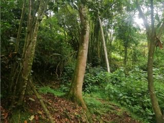 Foto 4 de Venta de Lote  en La Estrella Antioquia - Vereda La Culebra