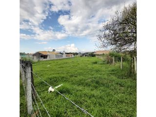 Foto 2 de LOTE EN VENTA EN GENAGRA, POPAYN