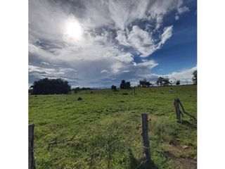 Foto 7 de LOTES EN VENTA EN UNIDAD SANTILLANA PARK - VARIANTE SUR