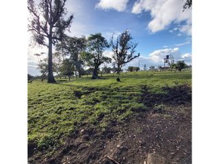 Foto 10 de LOTES EN VENTA EN UNIDAD SANTILLANA PARK - VARIANTE SUR