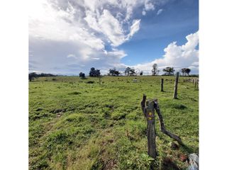 Foto 6 de LOTES EN VENTA EN UNIDAD SANTILLANA PARK - VARIANTE SUR