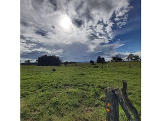 Foto 1 de LOTES EN VENTA EN UNIDAD SANTILLANA PARK - VARIANTE SUR