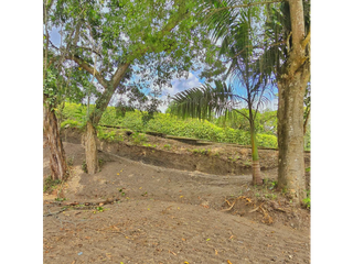 Foto 5 de Maat Vende Lote en Condominio-Villeta 1.815m2 240Millones