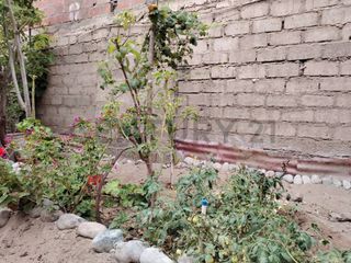 Foto 12 de INMUEBLE EN EL CERCADO DE TACNA
